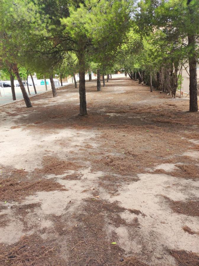 Apartamento Completo, Mascotas Aceptadas Arenales del Sol Zewnętrze zdjęcie